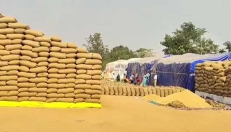 महासमुंद में 17.93 करोड़ रुपये का धान घोटाला, 15 समितियों पर एफआईआर